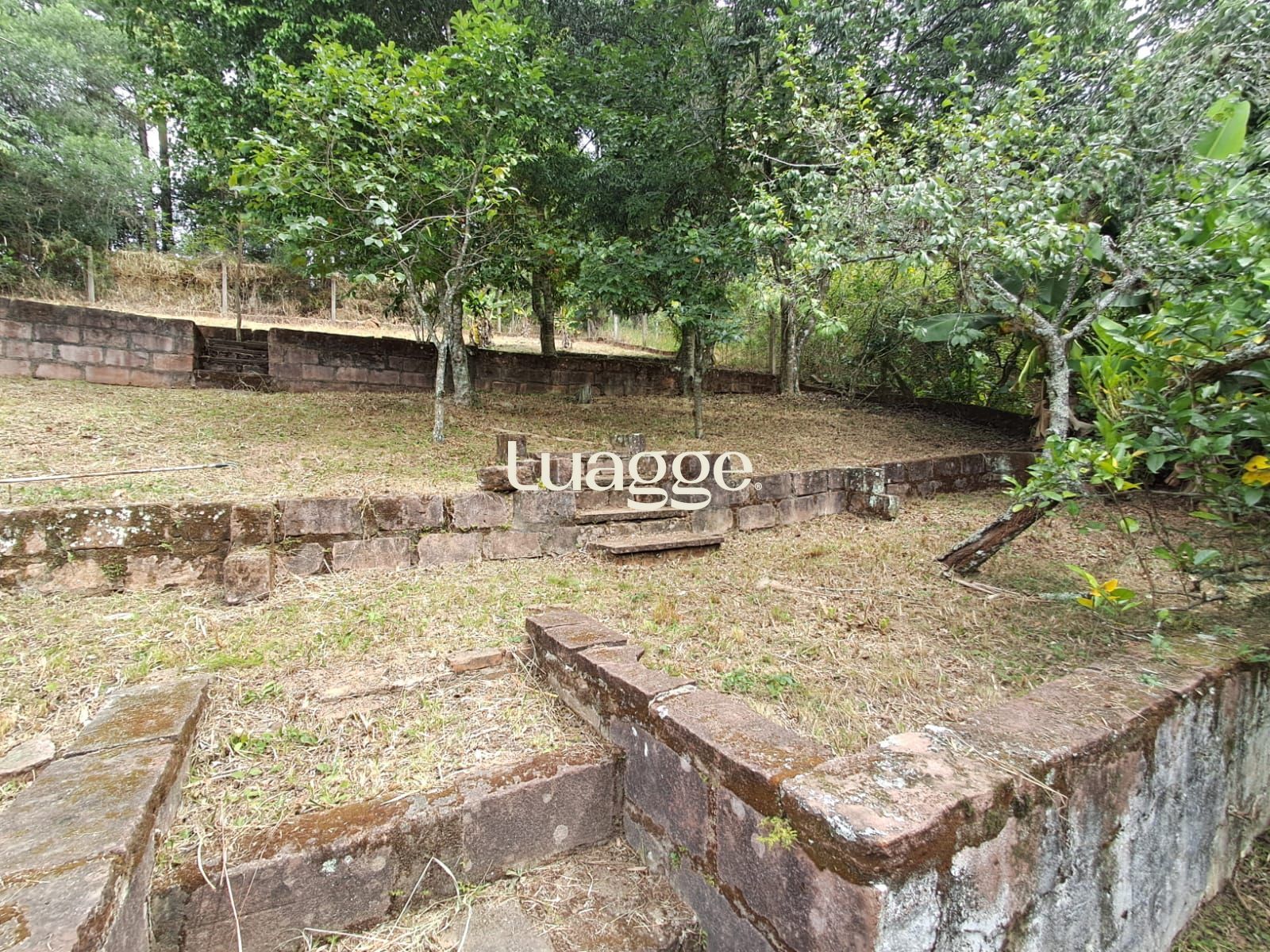 Sítio à venda com 3 quartos, 2m² - Foto 15