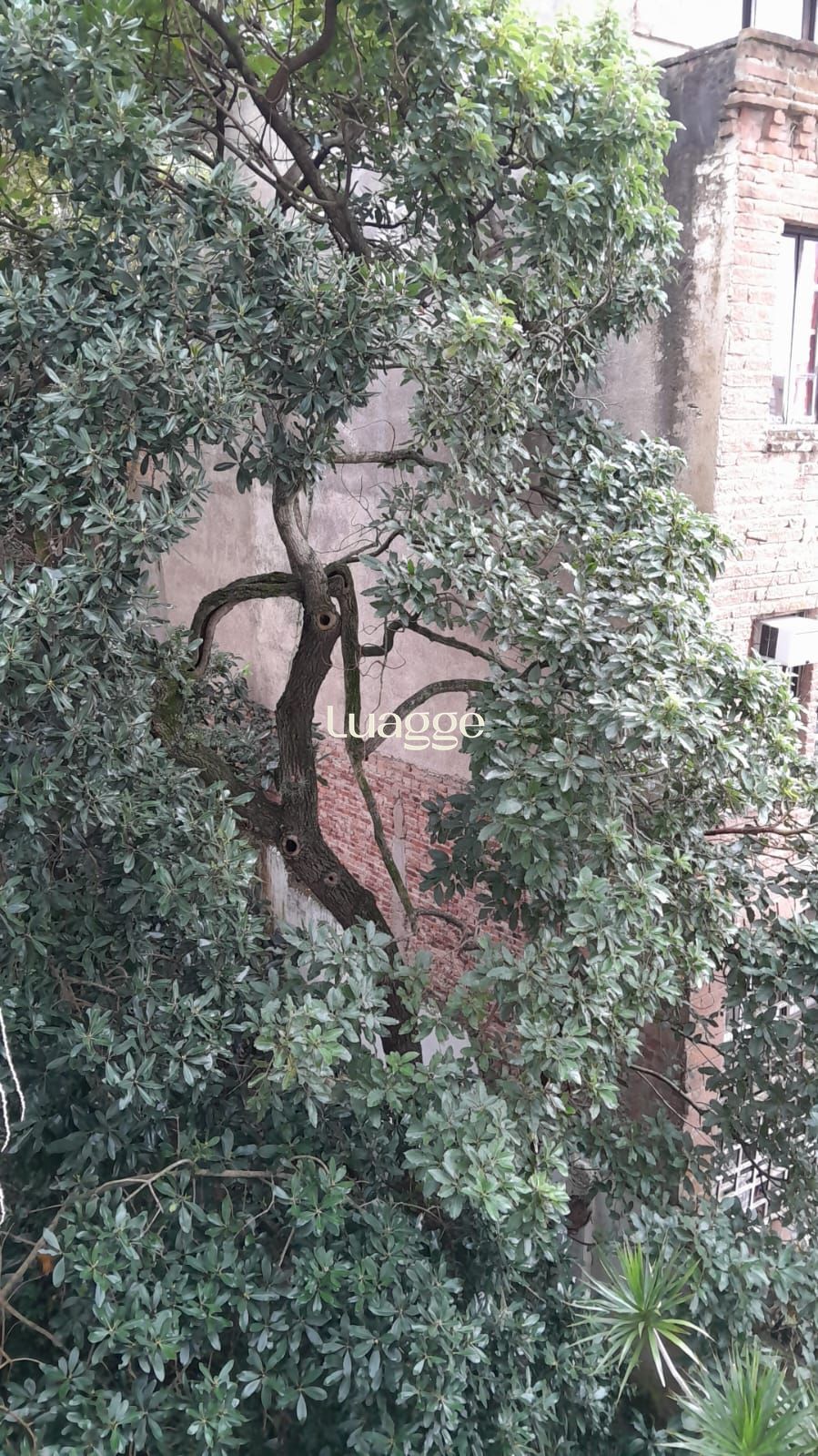 Apartamento, 1 quarto, 36 m² - Foto 12