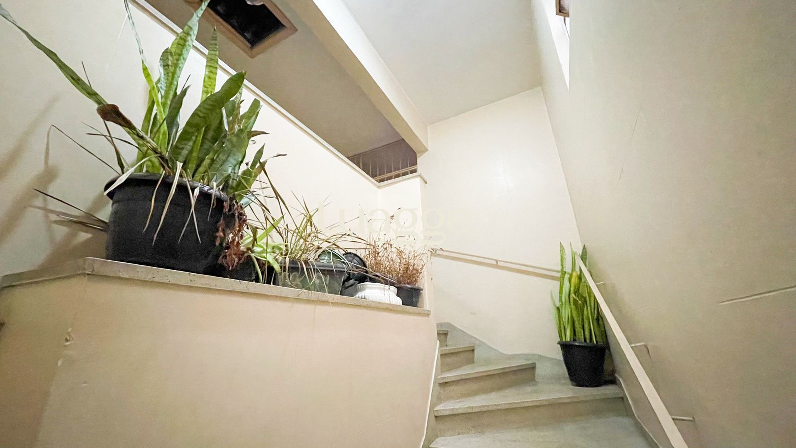 Apartamento à venda com 2 quartos, 74m² - Foto 29