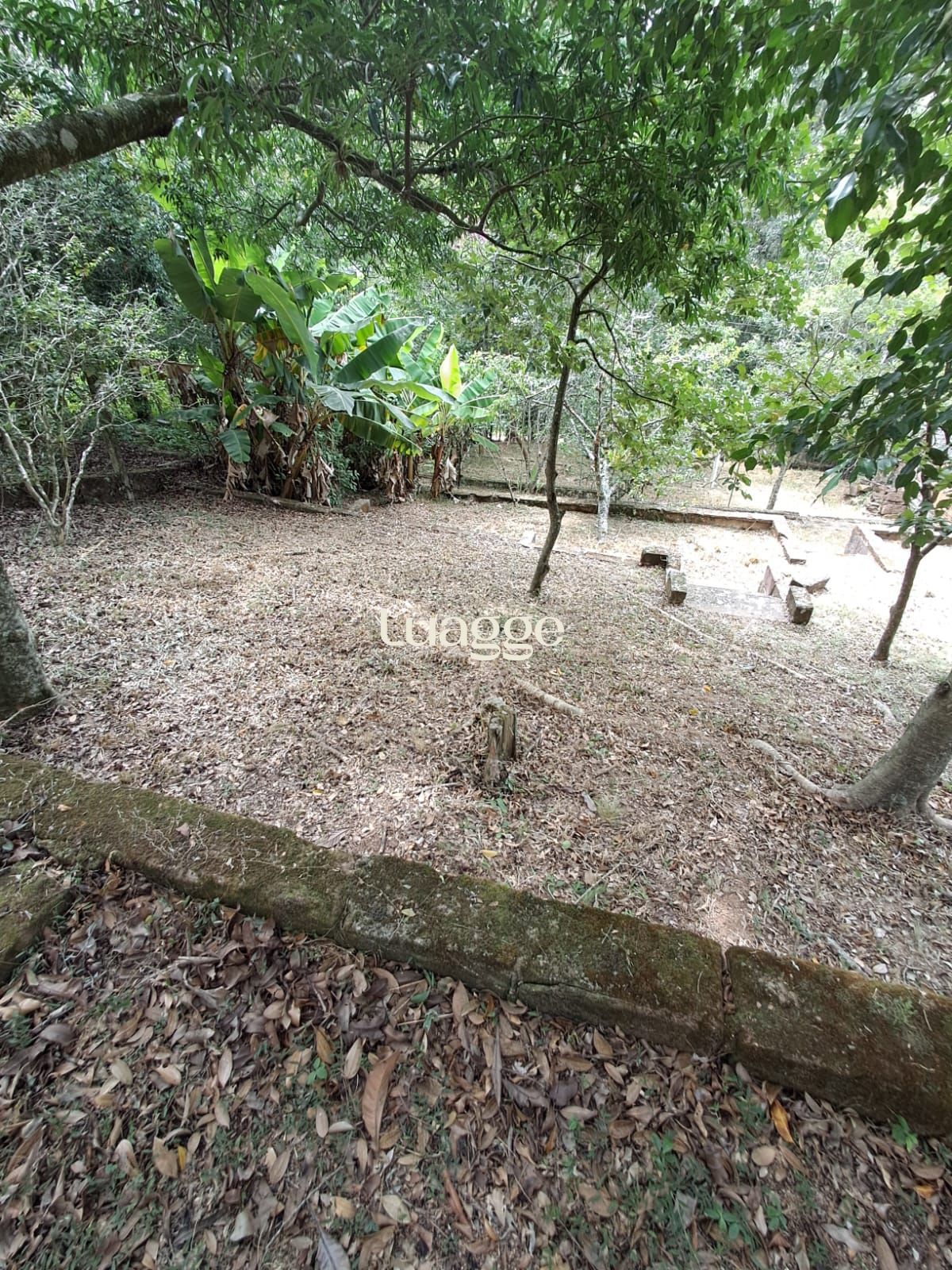 Sítio à venda com 3 quartos, 2m² - Foto 17