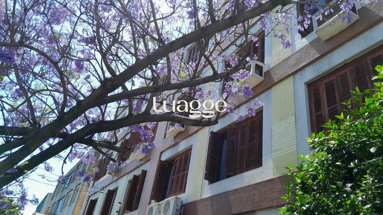 Apartamento à venda com 2 quartos, 77m² - Foto 16