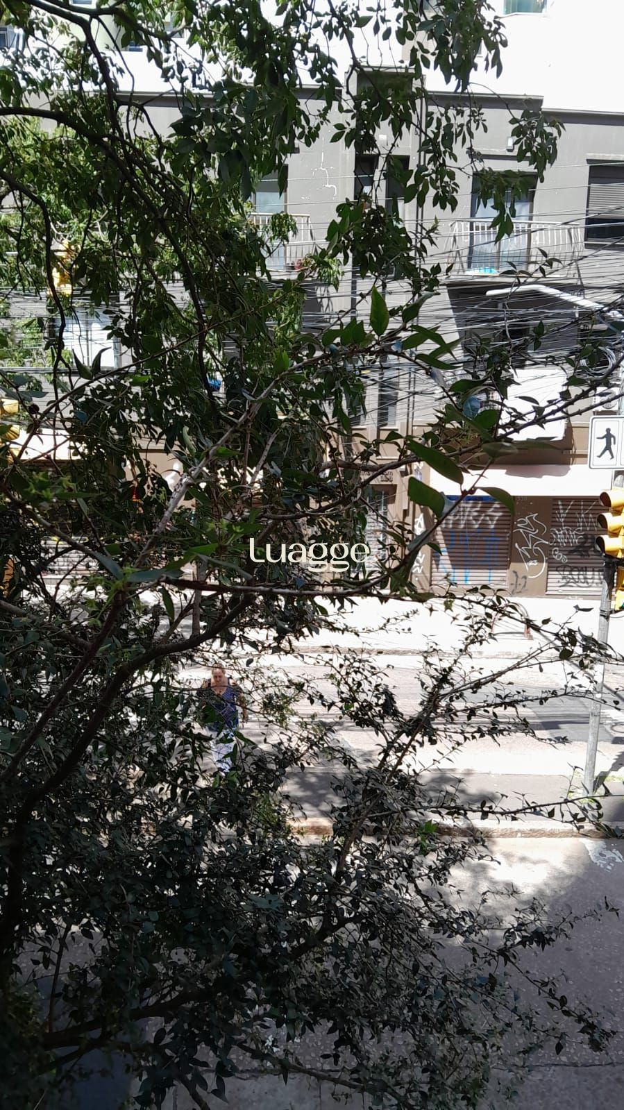 Apartamento, 2 quartos, 51 m² - Foto 6