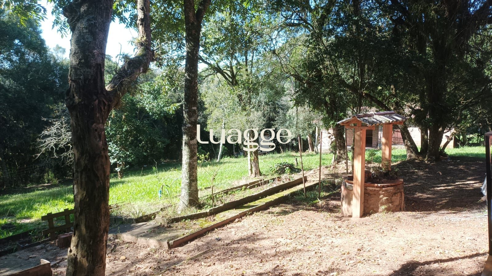 Sítio à venda com 3 quartos, 6140m² - Foto 6