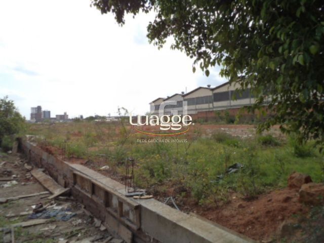 Terreno à venda, 2800m² - Foto 9