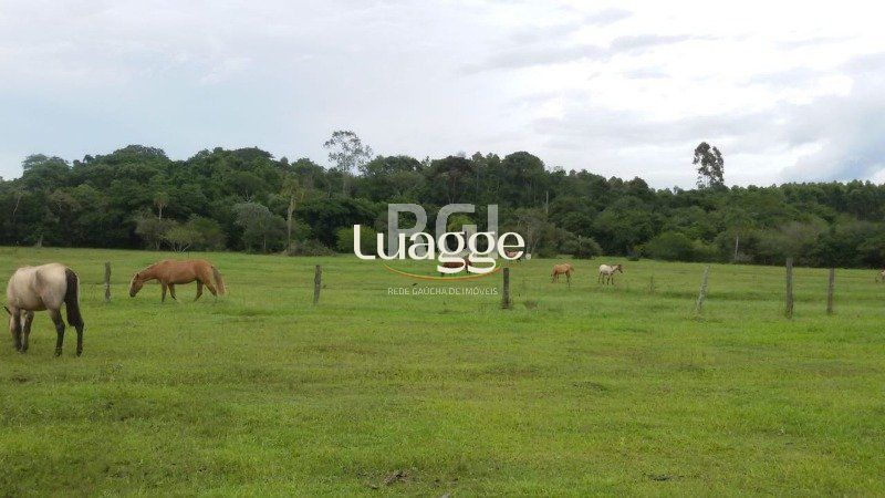 Chácara à venda com 3 quartos, 71002m² - Foto 22