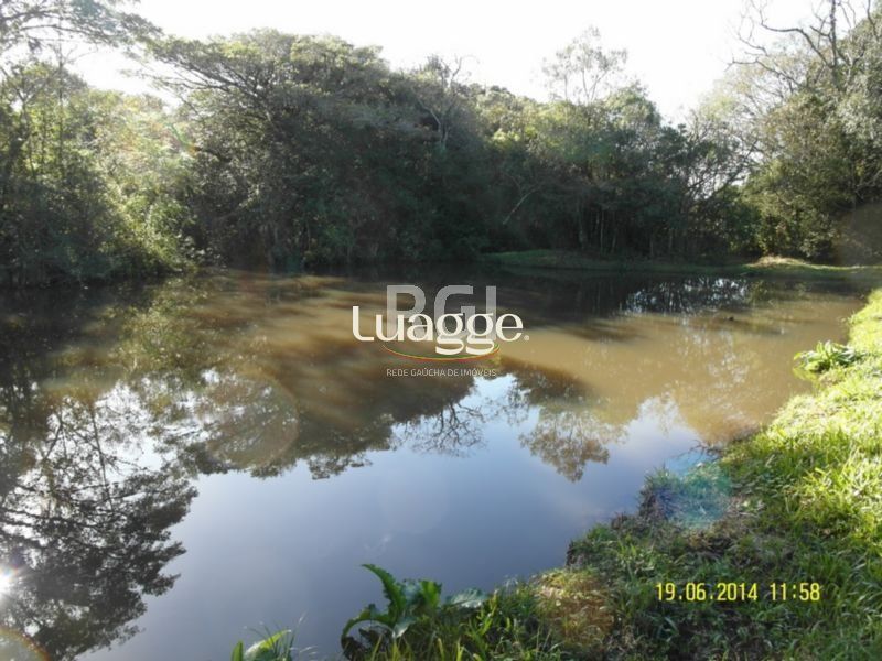 Terreno, 4 hectares - Foto 5