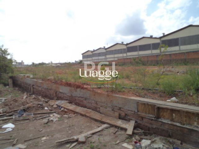 Terreno à venda, 2800m² - Foto 6