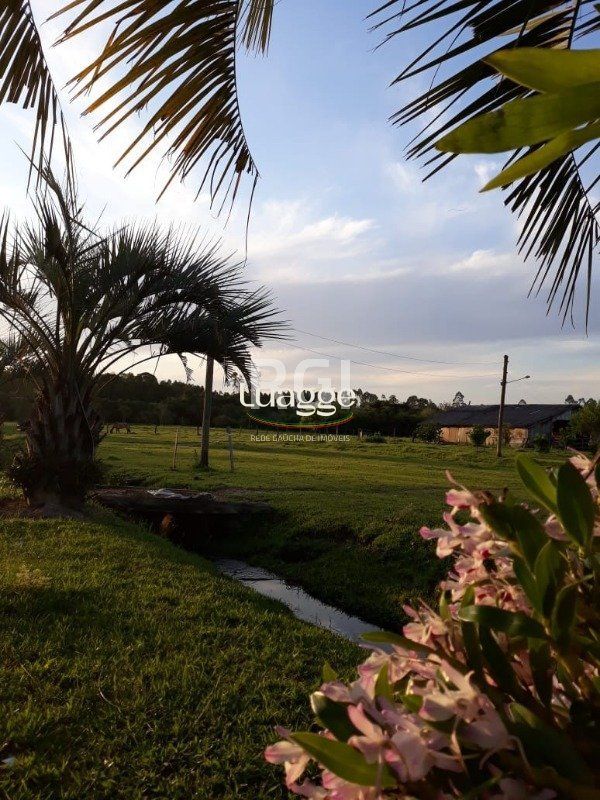 Chácara à venda com 3 quartos, 71002m² - Foto 2