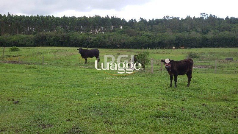 Chácara à venda com 3 quartos, 71002m² - Foto 19