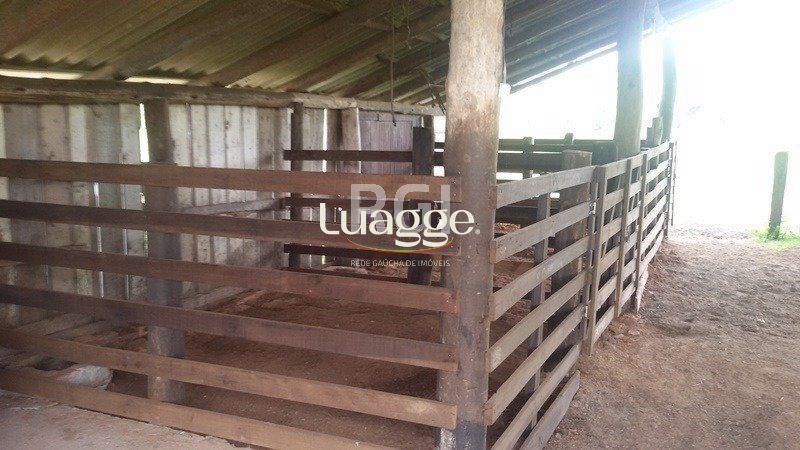 Chácara à venda com 3 quartos, 71002m² - Foto 14