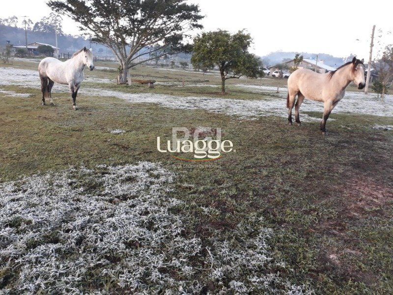 Chácara à venda com 3 quartos, 71002m² - Foto 18