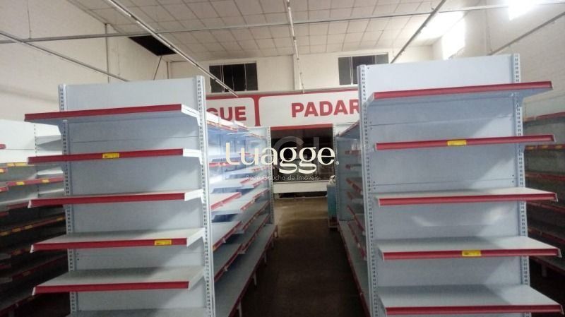 Depósito-Galpão-Armazém à venda, 325m² - Foto 6