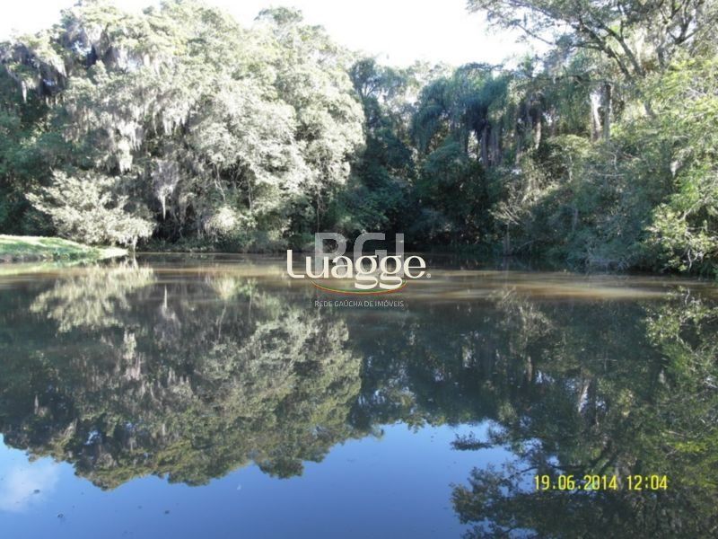 Terreno, 4 hectares - Foto 7