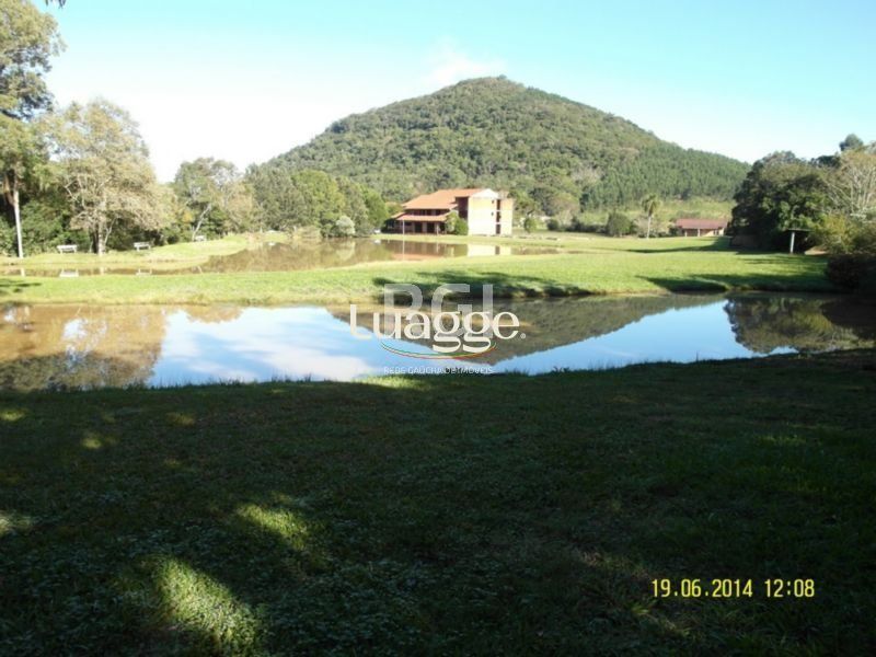Terreno, 4 hectares - Foto 1