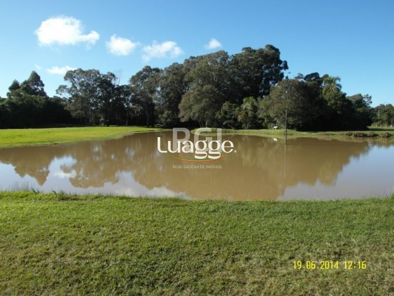 Terreno, 4 hectares - Foto 8