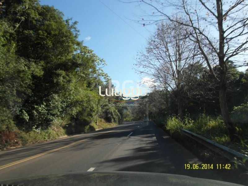 Terreno, 4 hectares - Foto 2