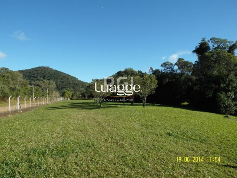 Terreno, 4 hectares - Foto 14