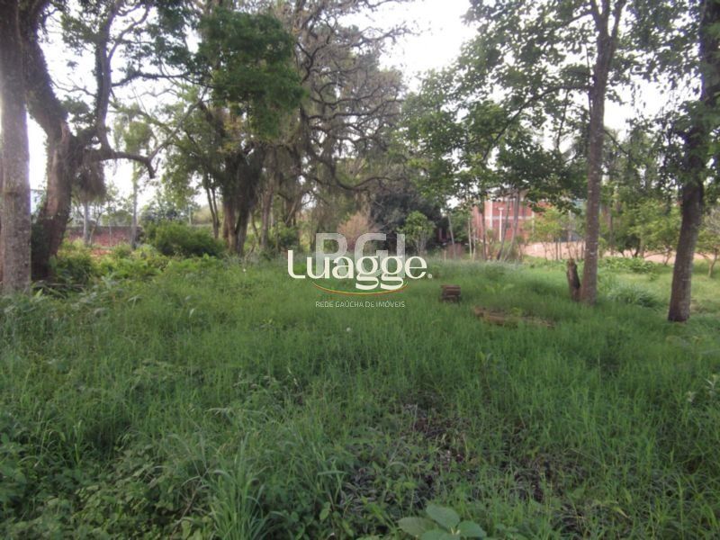 Terreno à venda, 2276m² - Foto 6