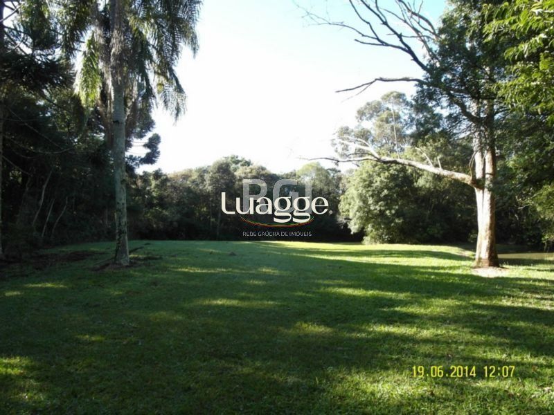 Terreno, 4 hectares - Foto 3