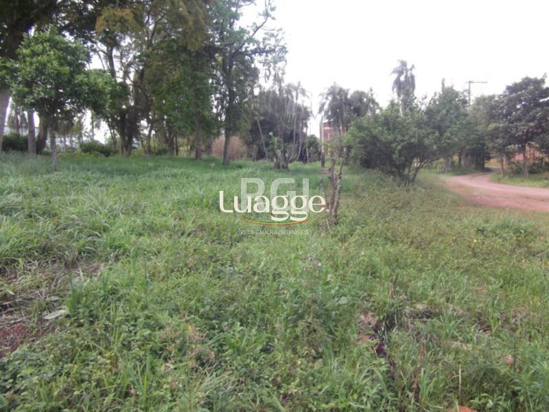 Terreno à venda, 2276m² - Foto 5