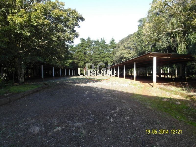 Terreno, 4 hectares - Foto 18