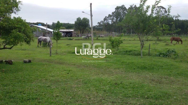Chácara à venda com 3 quartos, 71002m² - Foto 17