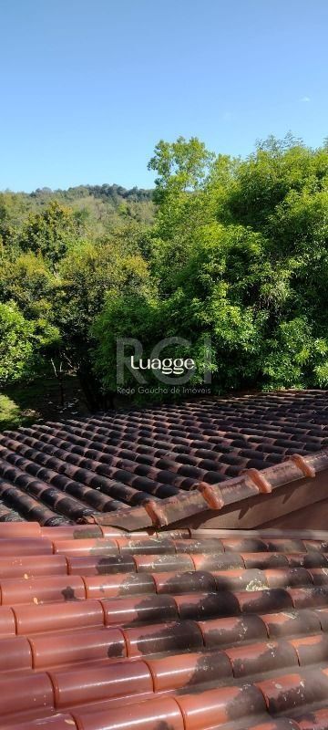 Sítio à venda com 3 quartos, 242m² - Foto 23
