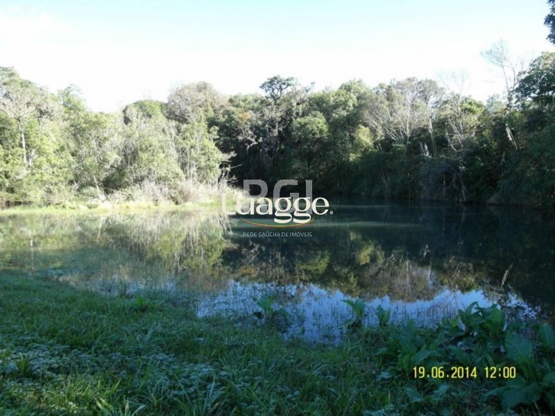 Terreno, 4 hectares - Foto 6