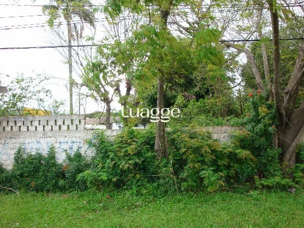 Terreno à venda, 329m² - Foto 4