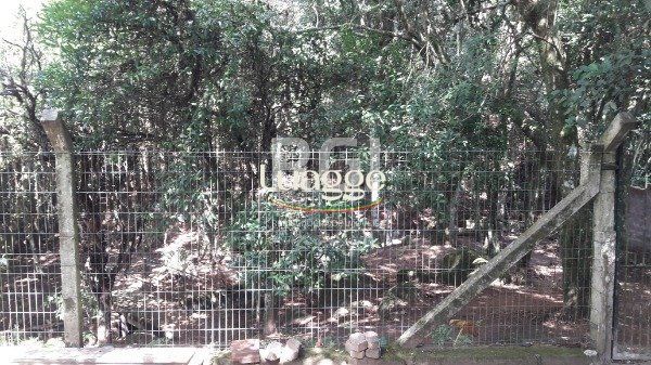 Sítio à venda com 3 quartos, 248m² - Foto 50