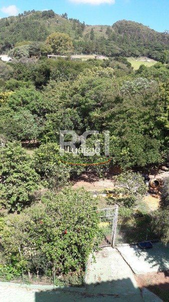 Sítio à venda com 3 quartos, 248m² - Foto 59