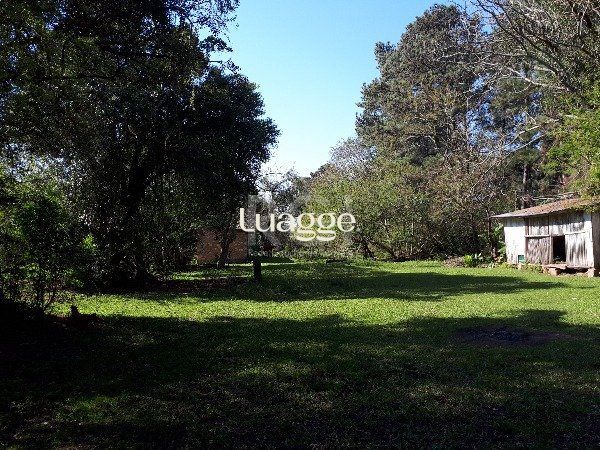 Sítio à venda com 3 quartos, 151m² - Foto 3