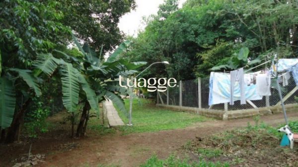 Sítio à venda com 3 quartos, 119m² - Foto 1