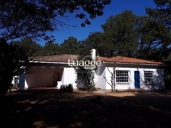Sítio à venda com 3 quartos, 151m² - Foto 1