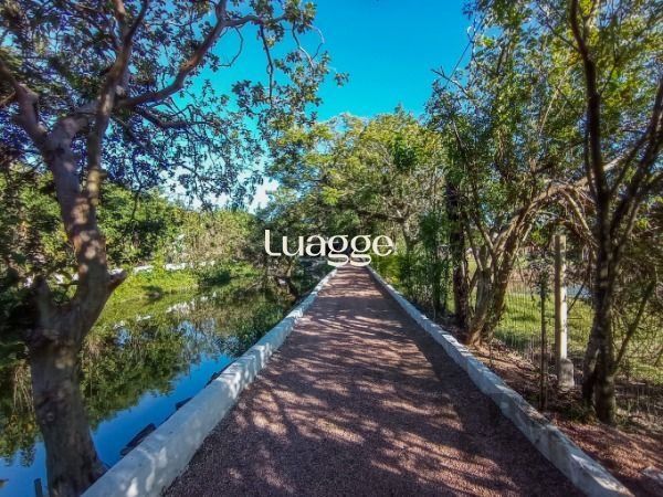 Sítio à venda com 4 quartos, 192m² - Foto 39