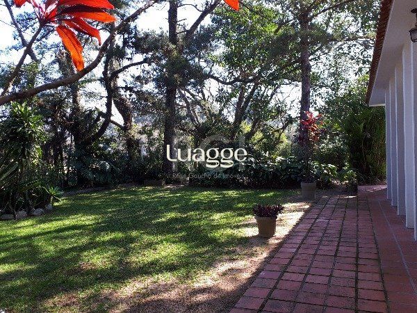 Sítio à venda com 3 quartos, 151m² - Foto 14