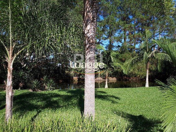 Sítio à venda com 3 quartos, 366m² - Foto 6