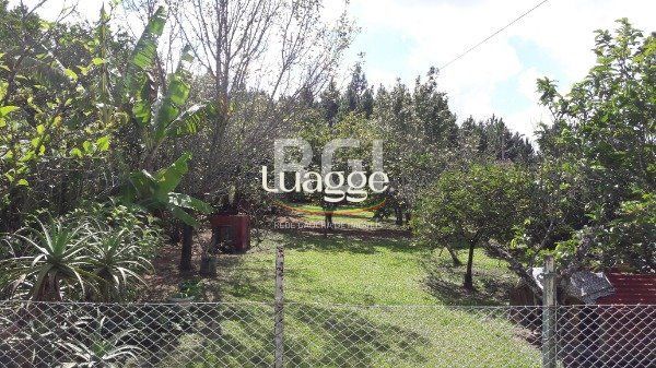 Sítio à venda com 3 quartos, 248m² - Foto 52