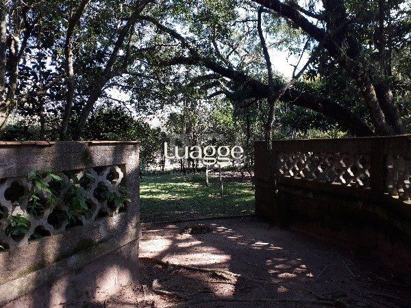 Sítio à venda com 3 quartos, 151m² - Foto 20