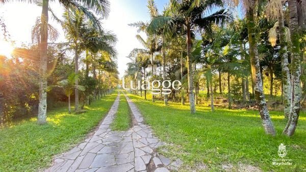 Sítio à venda com 4 quartos, 50045m² - Foto 1