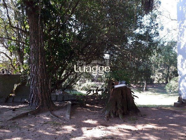 Sítio à venda com 3 quartos, 151m² - Foto 22