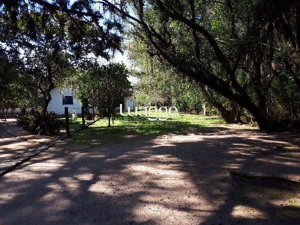 Sítio à venda com 3 quartos, 151m² - Foto 13