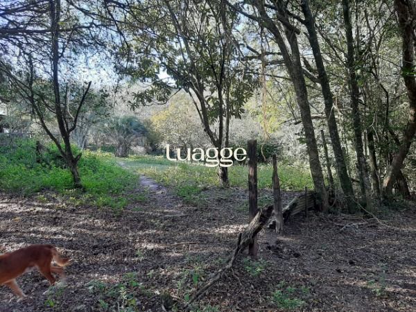 Sítio, 3 quartos, à venda, 200 m², Branquinha - Viamão — foto 3