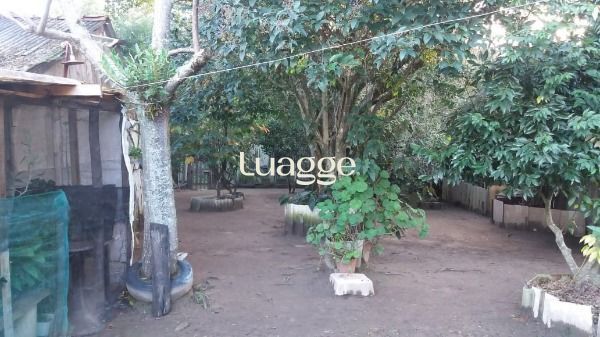 Casa à venda com 3 quartos, 103m² - Foto 14