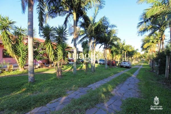 Sítio à venda com 4 quartos, 50045m² - Foto 43