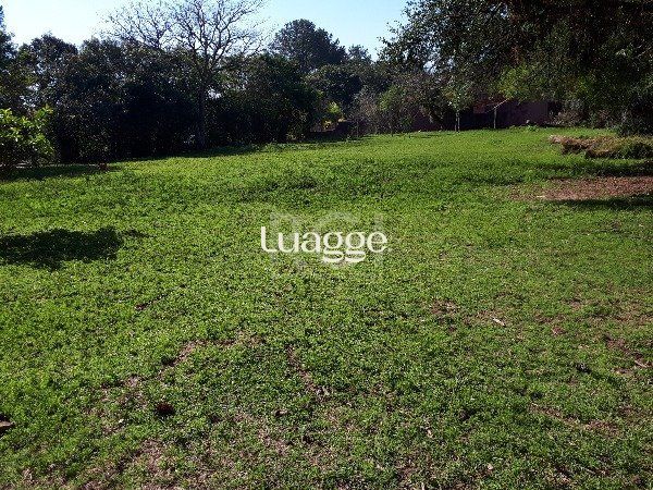 Sítio à venda com 3 quartos, 151m² - Foto 2