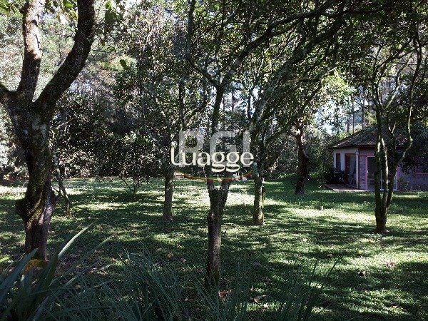 Sítio à venda com 3 quartos, 366m² - Foto 12
