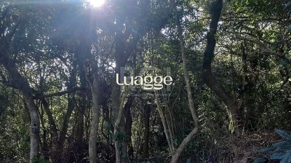 Terreno à venda, 292m² - Foto 22