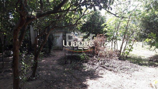 Sítio à venda com 3 quartos, 248m² - Foto 49