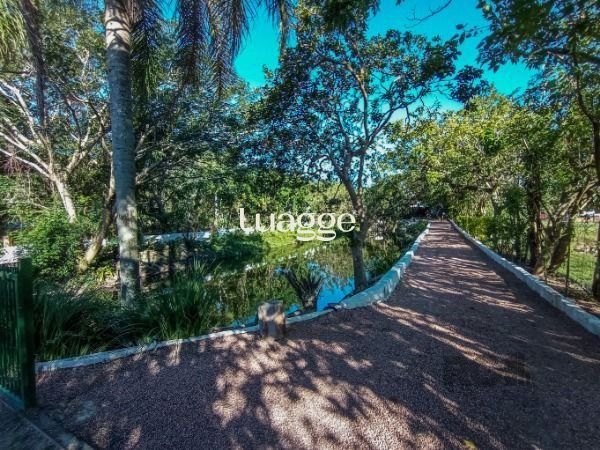 Sítio à venda com 4 quartos, 192m² - Foto 38